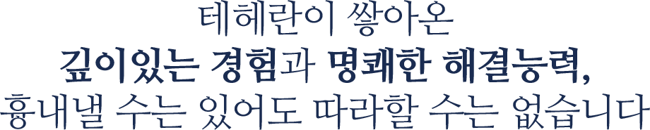 테헤란이 쌓아온 깊이있는 경험과 명쾌한 해결능력